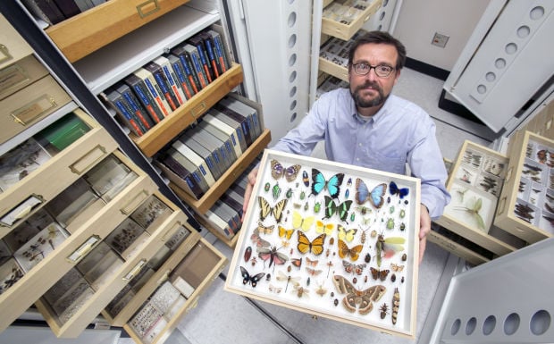 Gene Hall showing collection