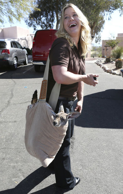 Aussie Outback visits Tucson