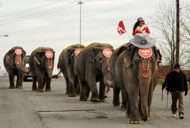 Animal shots of the week