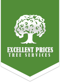 Excellent Prices Tree Services