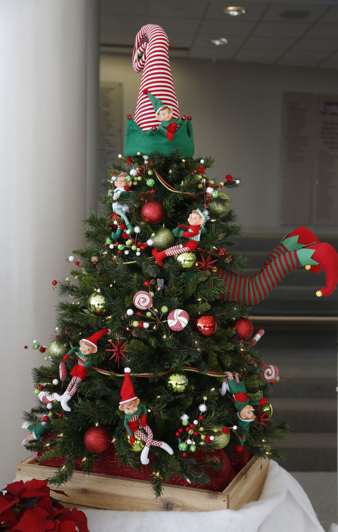 photos festival of trees photo galleries wcfcourier com photos festival of trees photo galleries wcfcourier com