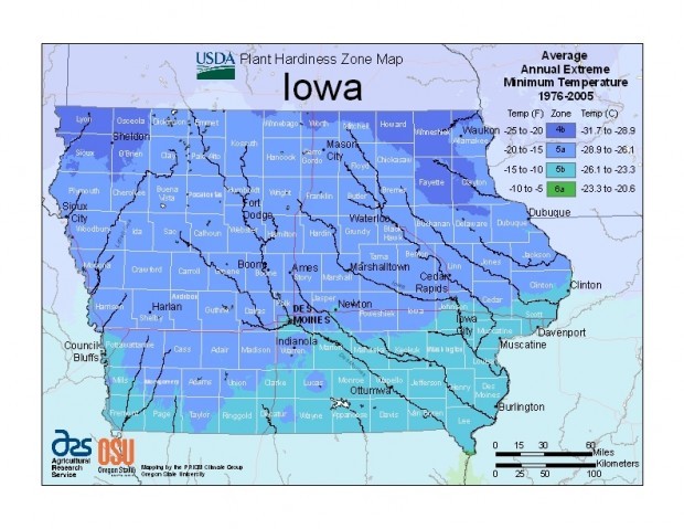 Read It And Weep for Joy Area Gardens Will Awaken To Spring In Zone Read It And Weep for Joy Area Gardens Will Awaken To Spring In Zone