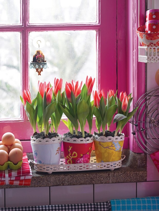 Fools errand: Tips for tricking gullible tulips into early bloom ...