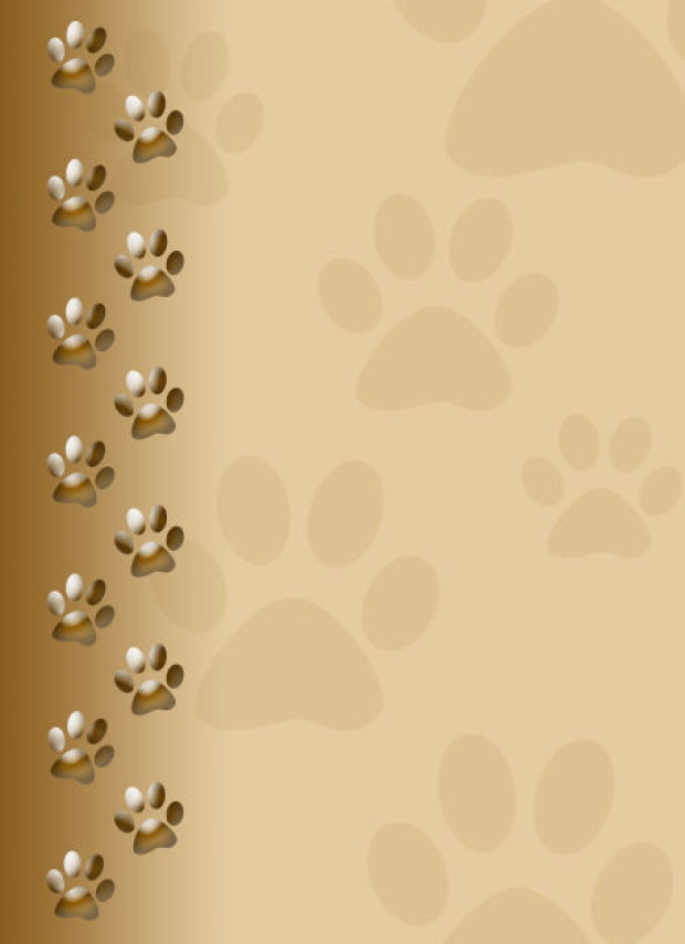 dog-paw-print-background