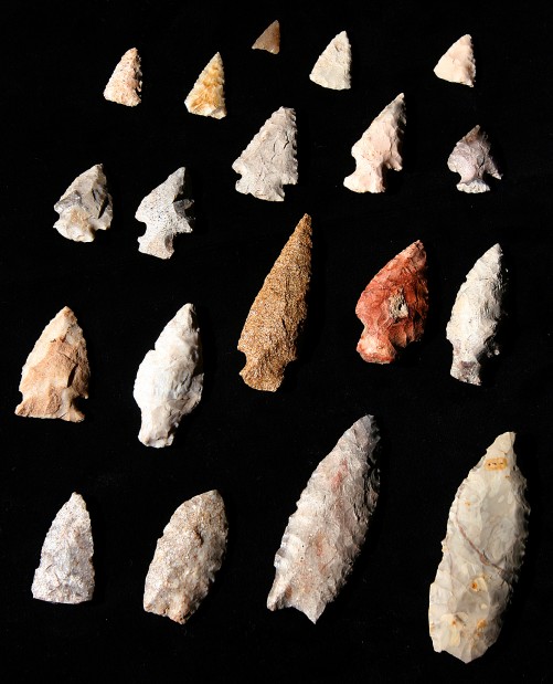 Find an artifact? Here's what to do with it Local