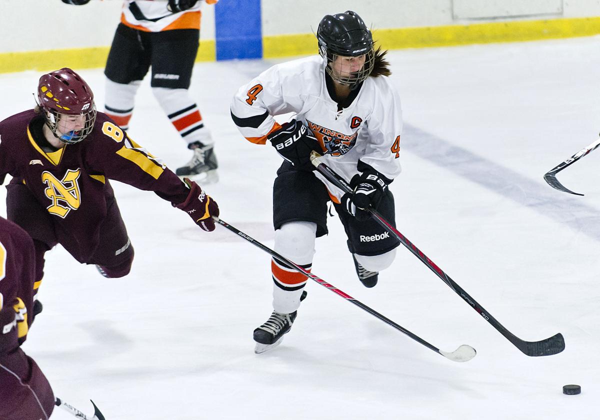 Photos Winona High Girls Hockey 201415 High School