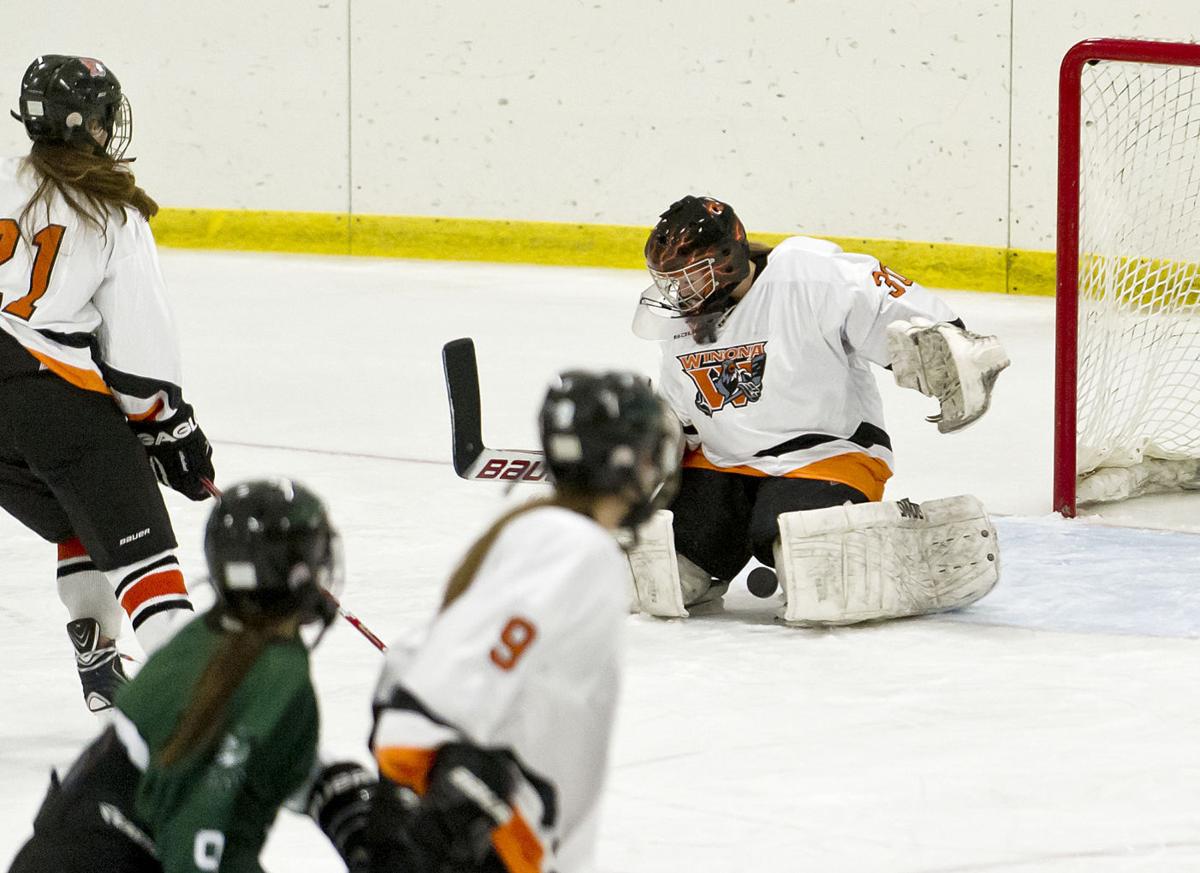 Photos: Winona High Girls Hockey 2014 15 High School