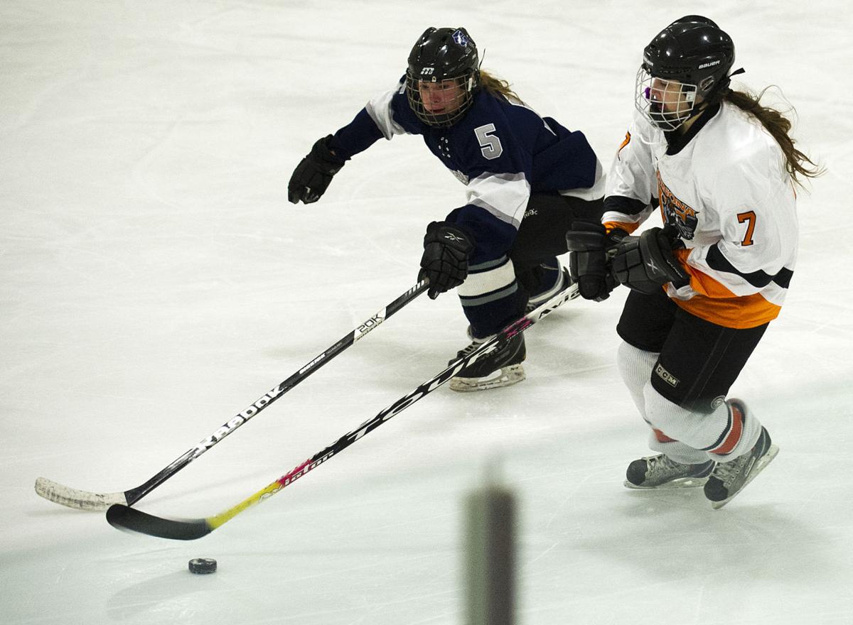 Photos Winona High Girls Hockey 201415 High School