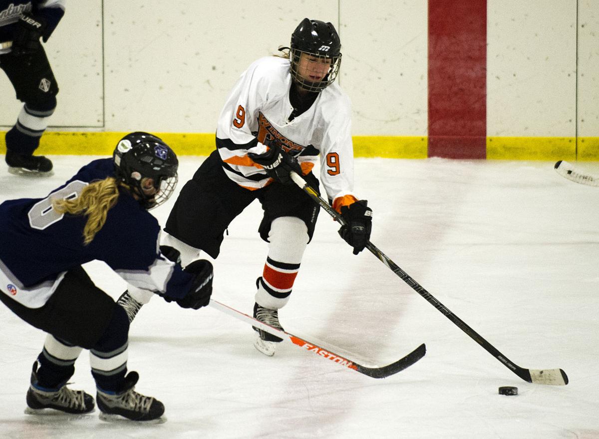 Photos Winona High Girls Hockey 201415 High School