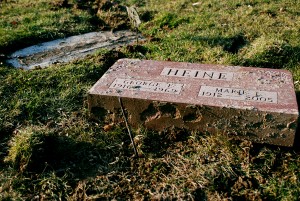 Cemetery Vandalized