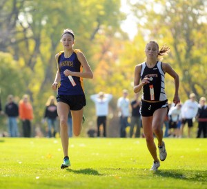 Division 2 cross country sectional