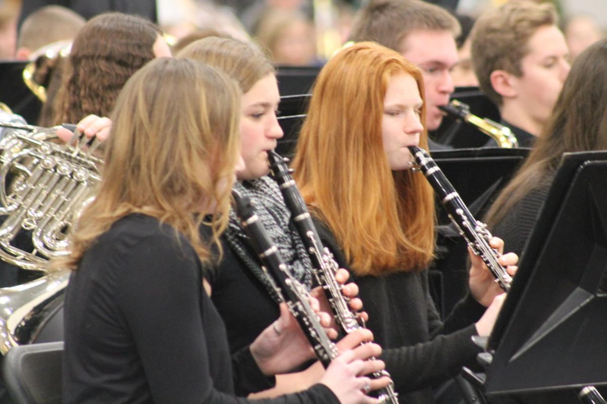 gallery: beaver dam parade of bands