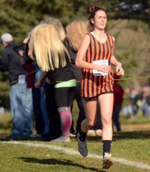 Area runners compete at state cross country meet