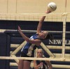 Sports Gallery