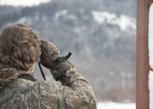 Bald Eagle Watching Days