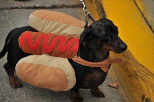 Tricky treats: Boo Fest brings out costumes, candy