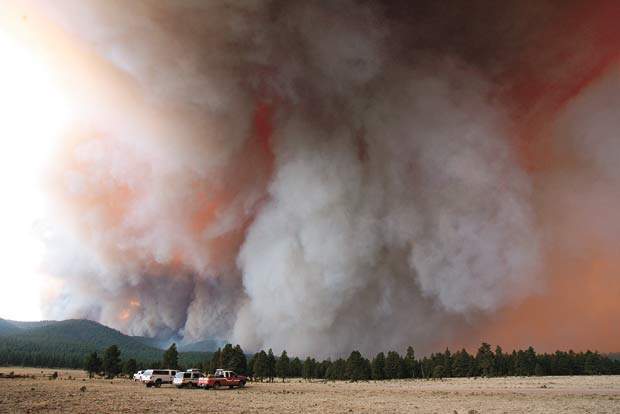 Wallow Fire Arizona forest fires