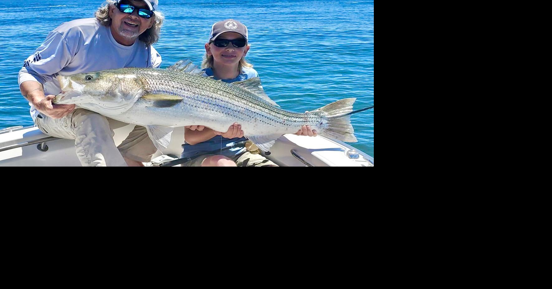 A Striped Bass Curiosity: Roe Sacs In NY Waters | The East Hampton ...