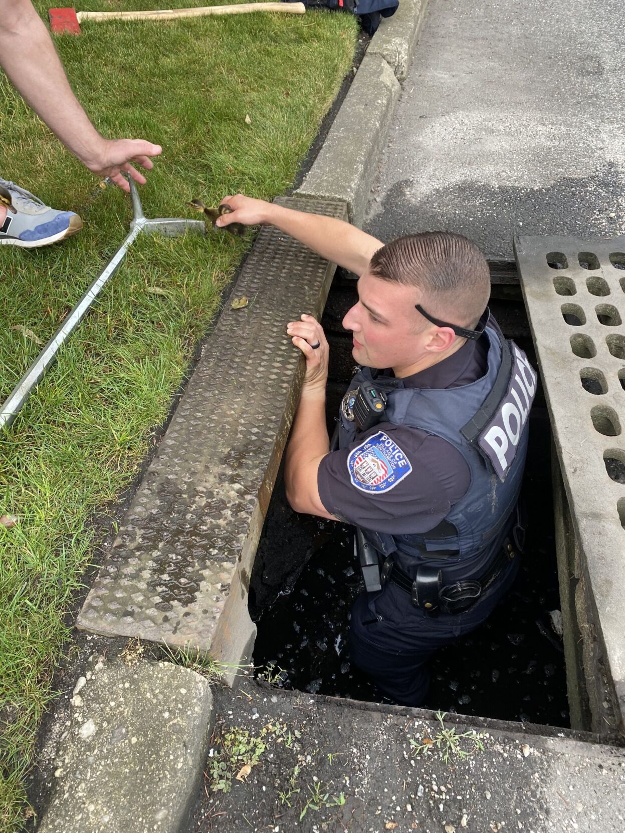 Grate Work: Police Rescue Ducklings From Storm Drain | News | 27east.com