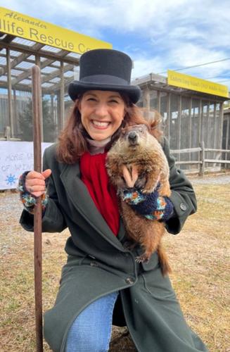 Rescue Center's Resident Groundhog Dies | The Southampton Press ...