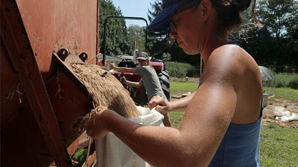 'Growing Farmers' On The East End | Arts & Living | 27east.com