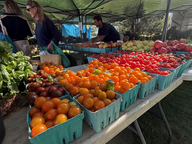 Springs Farmers Market Celebrates 20 Years of Local Food, Youth ...