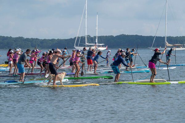 Eighth Annual Paddle For Pink Raises $650,000 For Breast Cancer ...
