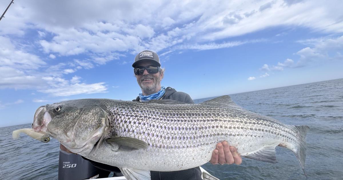 Thankful for Living on Striped Bass Main Street