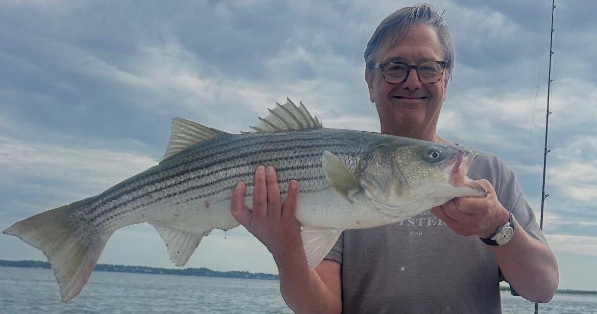 Striped Bass Season, Part 1, Is Over