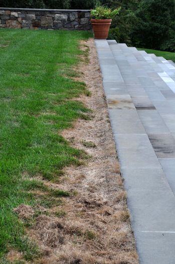 Woodwork Rough Patch Take the rough patches out of a patchwork lawn | Home & Garden | 27east.com
