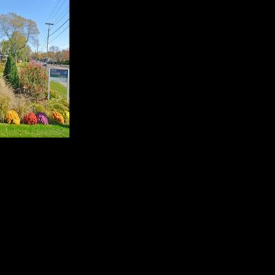 Bridgehampton Commons To Put In Screening Plants Again | Government ...