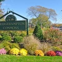 Bridgehampton Commons Bridgehampton Commons To Put In Screening Plants Again | Government ...
