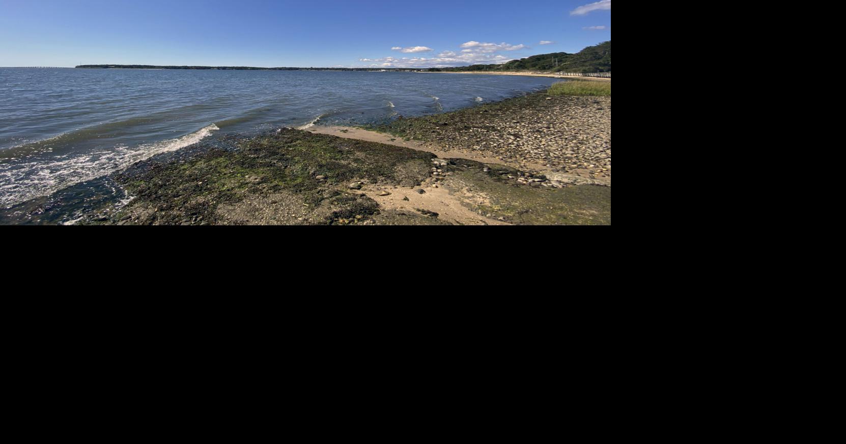 Record Year For 'Rust Tide' Algae Scourge | News | 27east.com