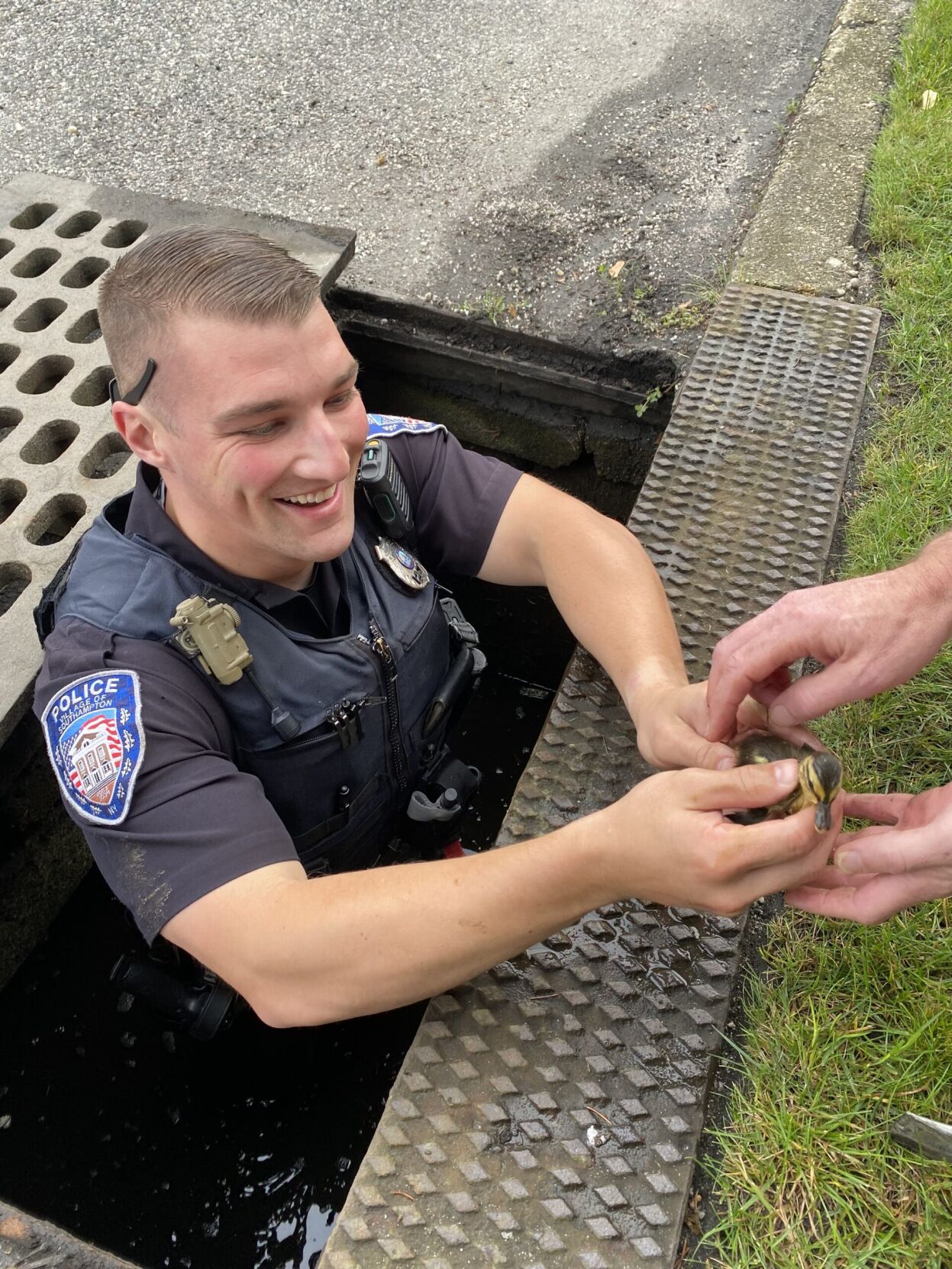 Grate Work: Police Rescue Ducklings From Storm Drain | News | 27east.com