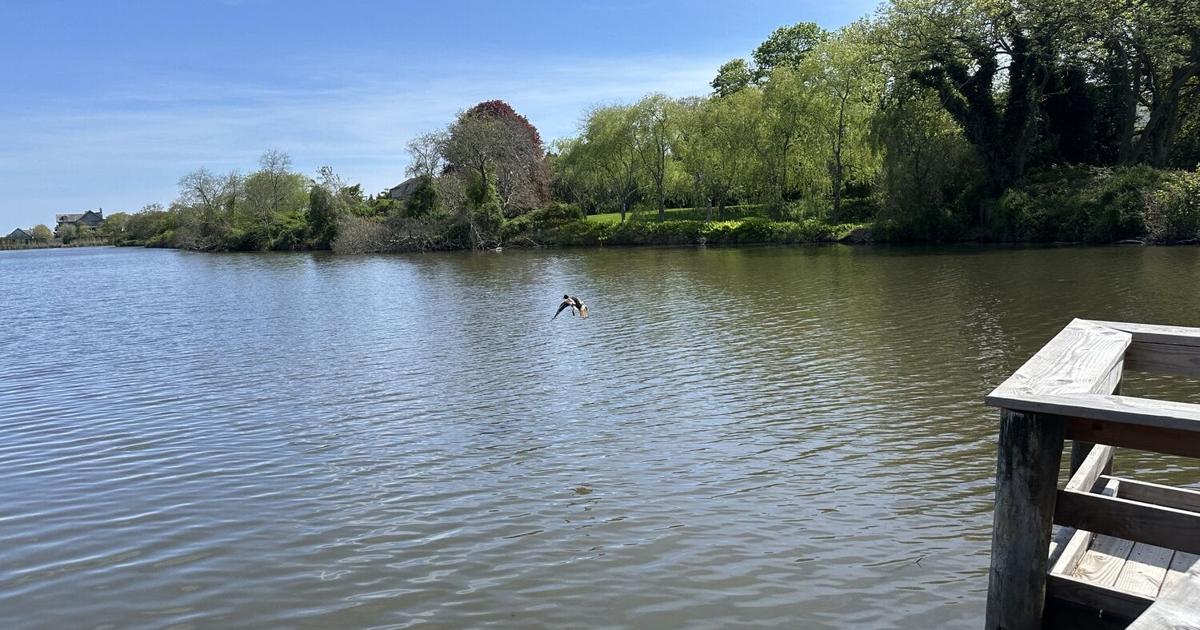 Southampton Village Board Approves Environmental Review Of Old Town southampton-village-board-approves-environmental-review-of-old-town