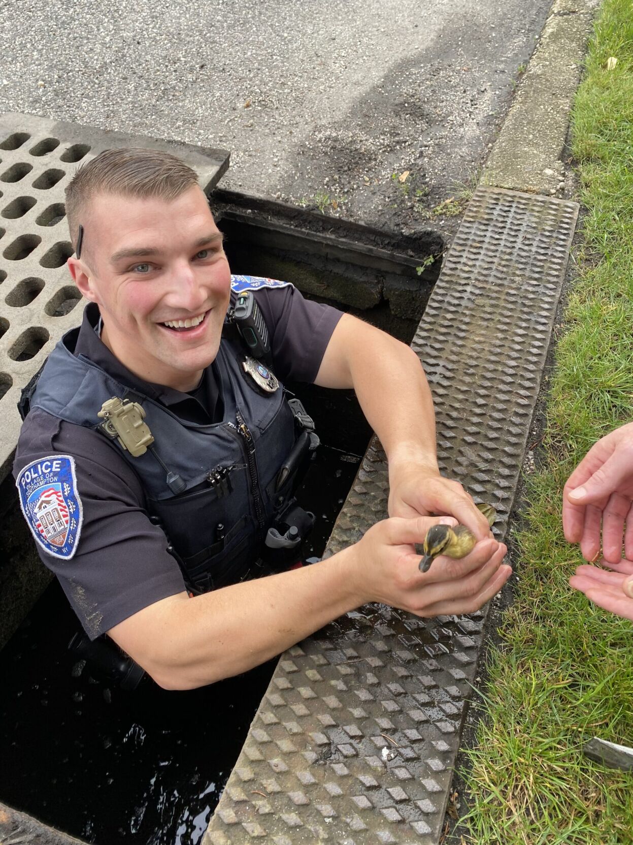 Grate Work: Police Rescue Ducklings From Storm Drain | News | 27east.com