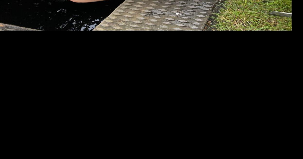 Grate Work: Police Rescue Ducklings From Storm Drain | News | 27east.com