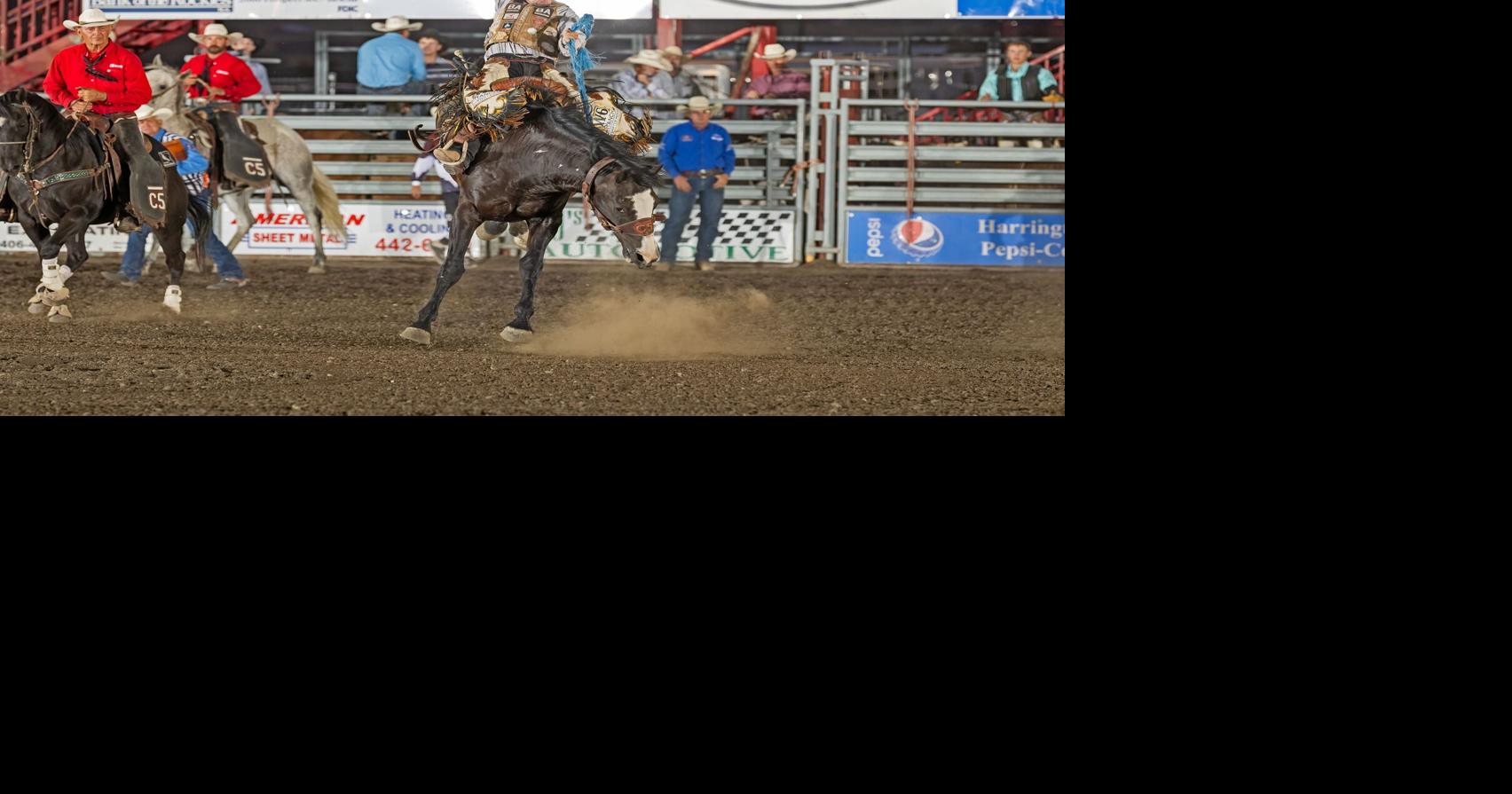 Montana Transplant: Canadian-turned-Montanan saddle bronc rider leads ...