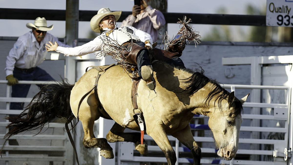 Sidelines with Synness: Sam Petersen to rodeo for Clarendon CC