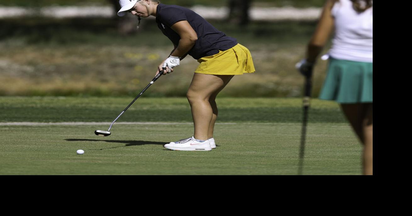 Guide to the 2022 Class AA state golf tournaments