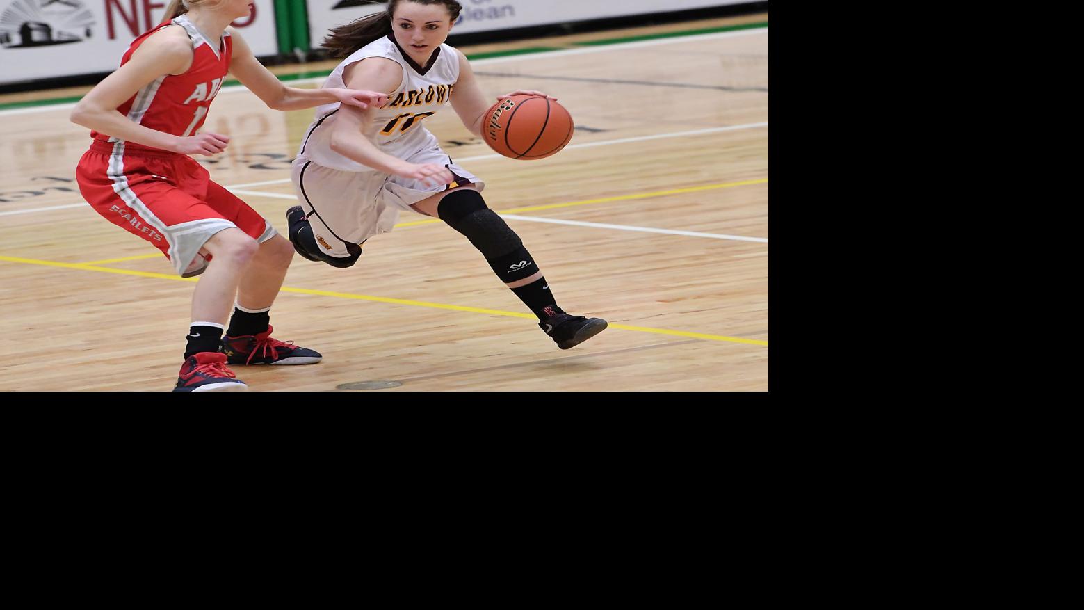 Class C girls state Twin Bridges, Belt, Arlee and RoyWinifred win