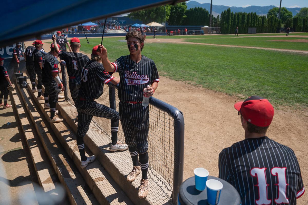 Billings Scarlets & Cardinals Baseball