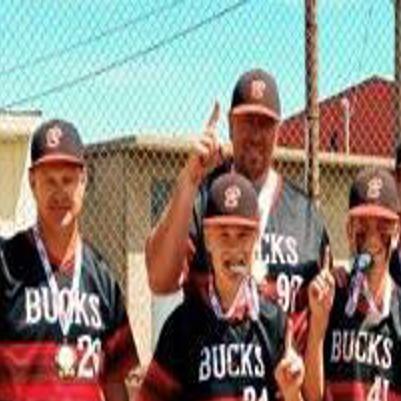 Four Bozeman youth baseball teams win state championships, advance to  regional tournaments, Bozeman Bucks