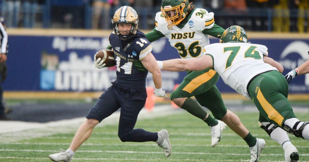 Montana State Bobcats fall to NDSU in FCS playoffs