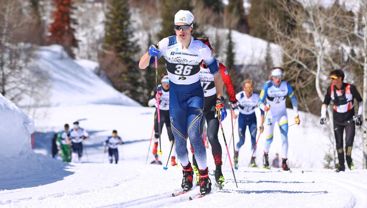 Montana State Bobcats finish fifth at NCAA Skiing Championships