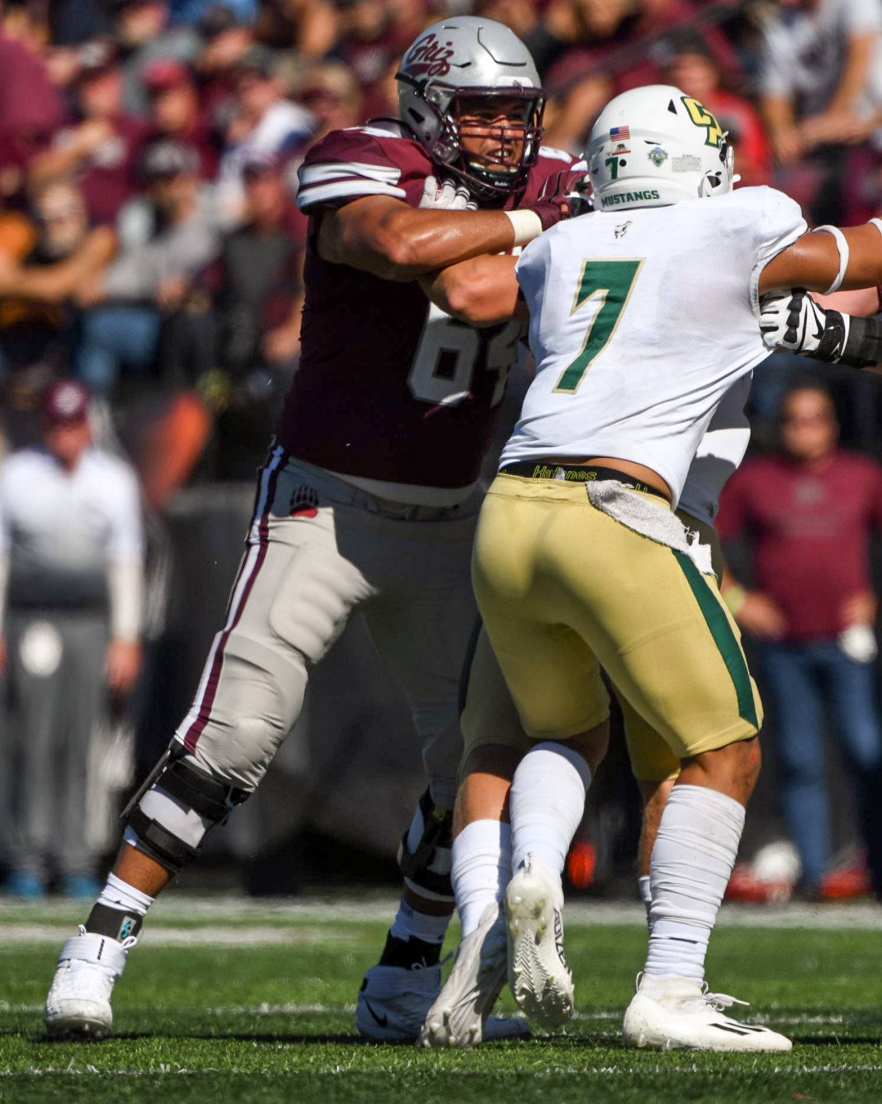 All the right ingredients: Montana offensive lineman Dylan Cook