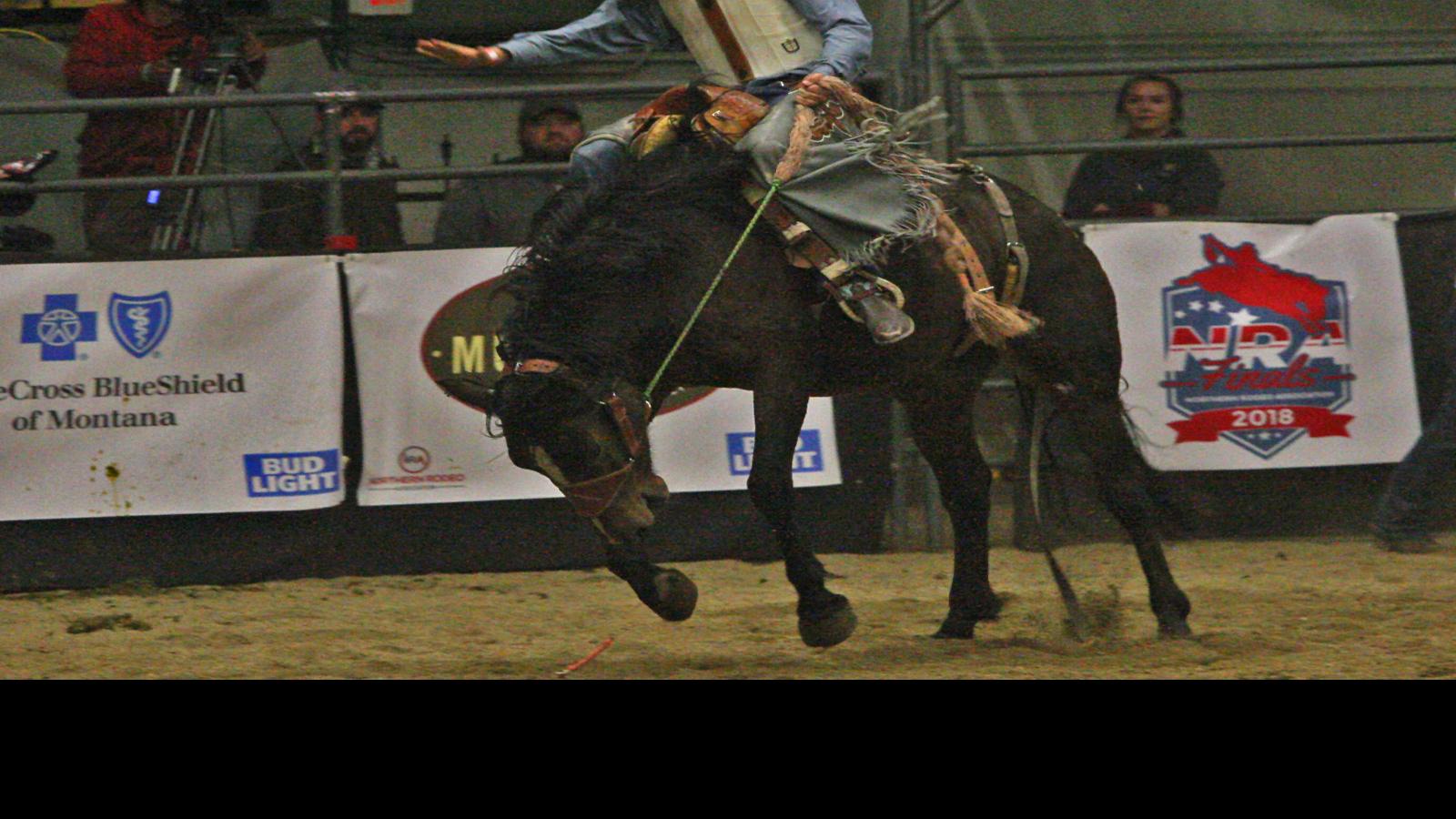 Nra Rodeo Finals Rough Stock Standings Shaken Up After Go 1 Rodeo 406mtsports Com