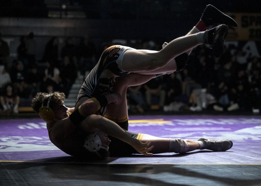 Rapid riser: Ronan's Ridge Cote adds Jug Beck title to standout