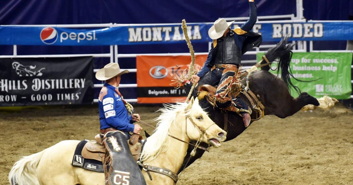 406 Rodeo Montana State rodeo teams secure Big Sky Region titles