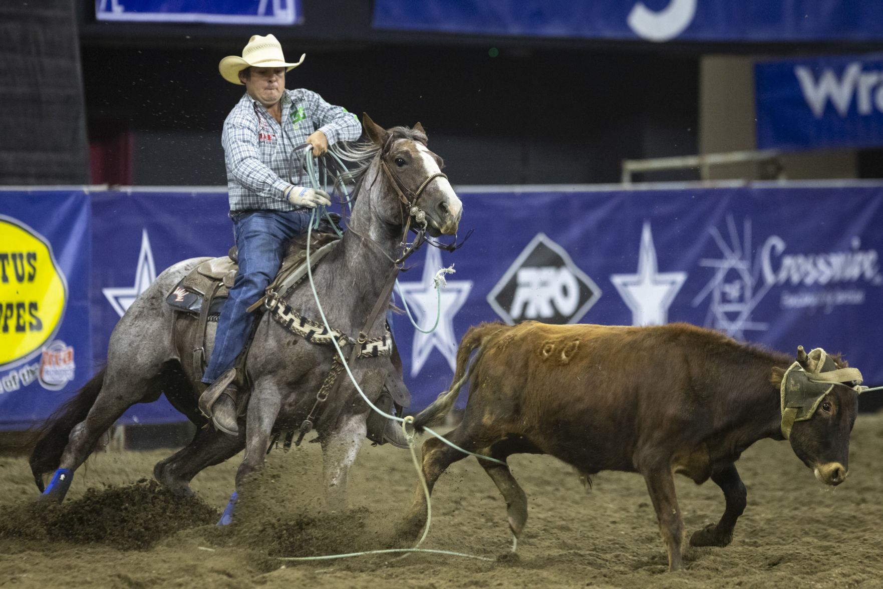 Team roping outlet